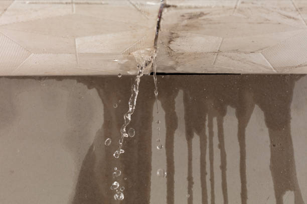 Professional Burst Pipe Cleanup technician working in Dawsonville, GA